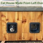 Diy Cat House Construction Tips