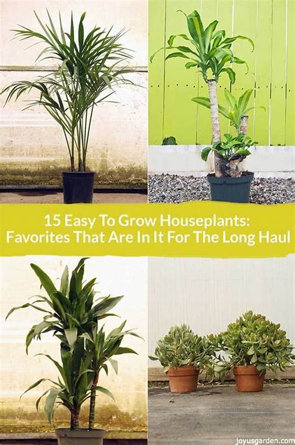 Easy Care Plants For Beginners