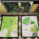 “engaging Botany Resources For Classrooms”