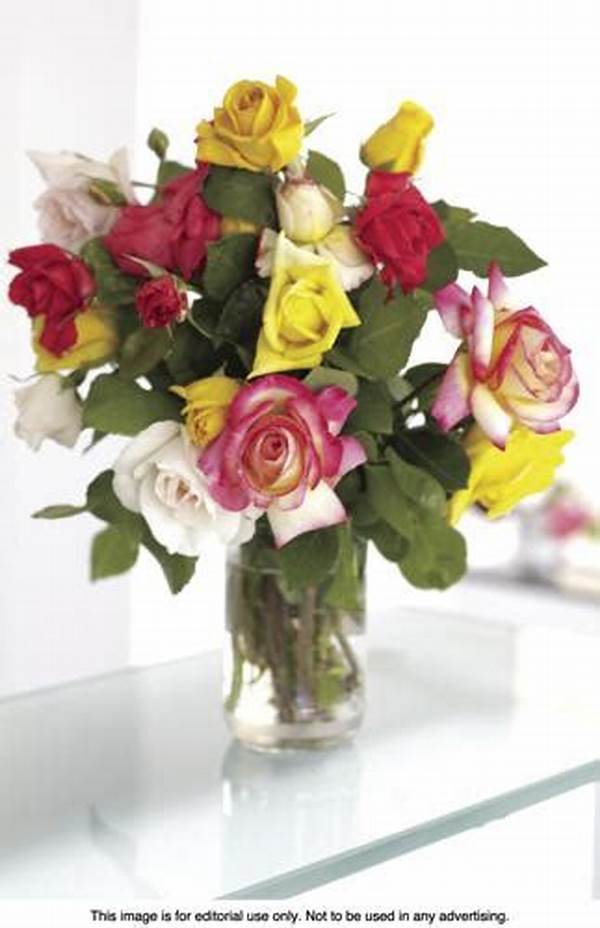 Extending Life Of Floral Arrangements.