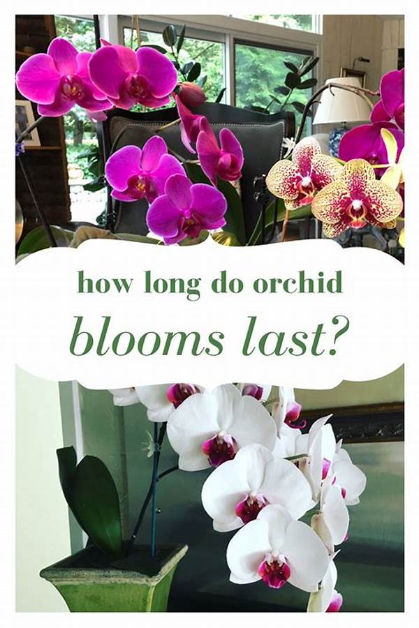 Extending Lifespan Of Blooms