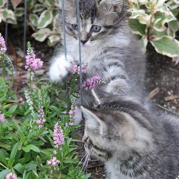 Feline-friendly Garden Plant Options