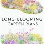 Flower Garden Layout By Season