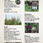 Flower Garden Upkeep Throughout Seasons