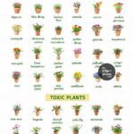 Gardening Tips For Pet Owners
