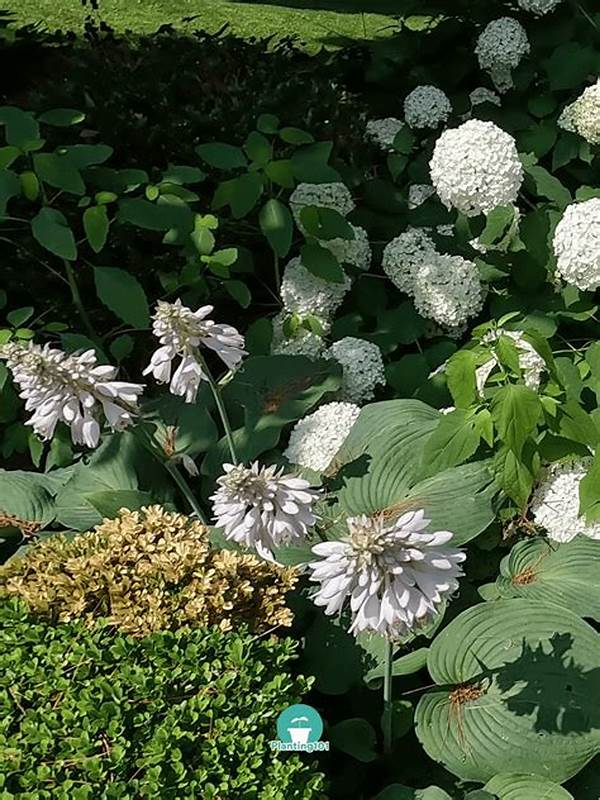Hardy Blooms For Lazy Gardeners