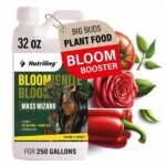 High Phosphorus Fertilizers For Blooms