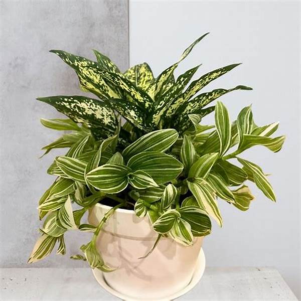 Houseplant Arrangements For Pet Households
