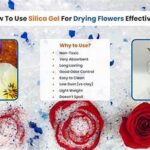 How To Dry Flowers Effectively