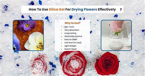 How To Dry Flowers Effectively