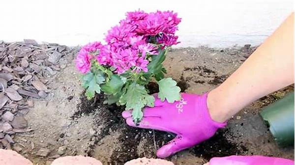 How To Plant Spring Flowers