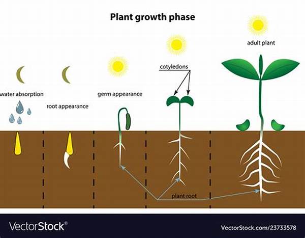Learning Plant Growth Process