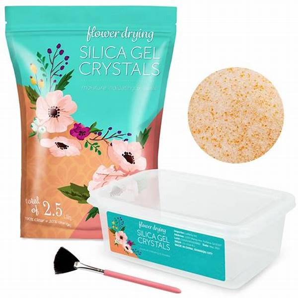 “long-lasting Flower Preservation Silica Gel”