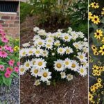 Long-lasting Perennial Arrangement Designs