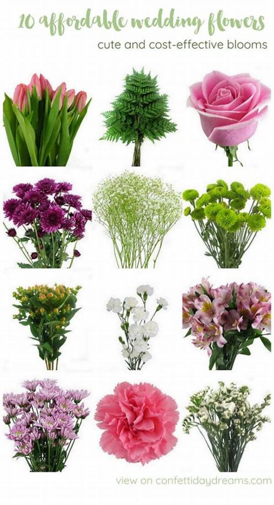 Low-budget Nuptial Flower Choices