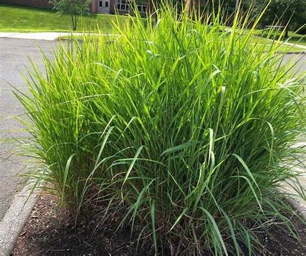 Low-effort Plants For Busy Families
