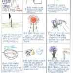 Maintaining Fresh Cut Blooms