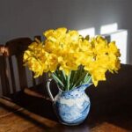 Maximizing Cut Flowers’ Shelf Life