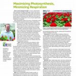 Maximizing Photosynthesis In Gardens