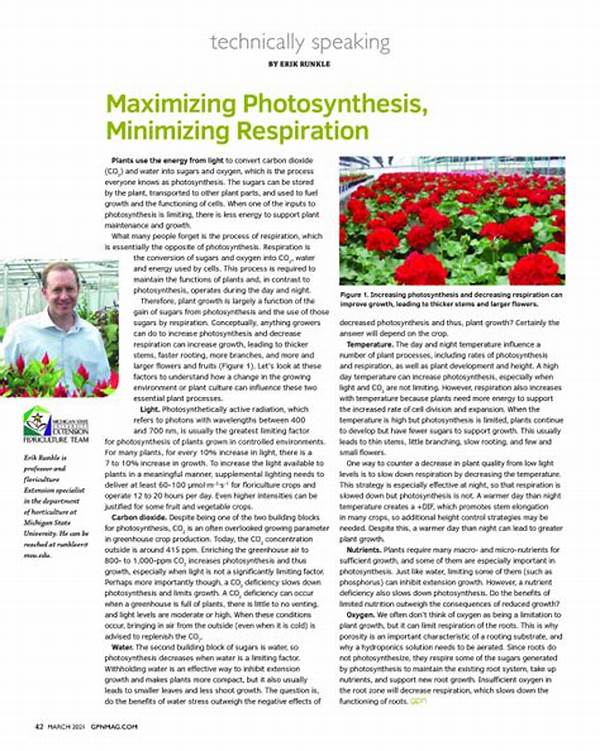Maximizing Photosynthesis In Gardens