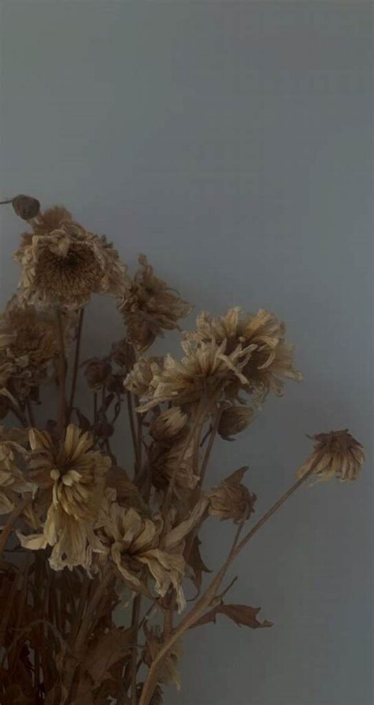 Minimal Dried Flower Aesthetics