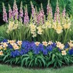 Mixing Perennials In Arrangements
