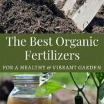 Natural Fertilizers For Organic Gardens