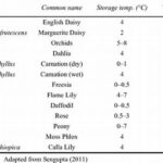 Optimal Flower Storage Temperatures