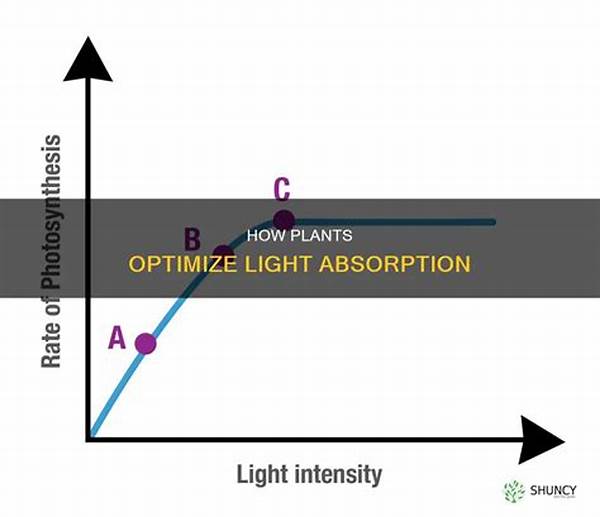 Optimizing Plant Light Absorption