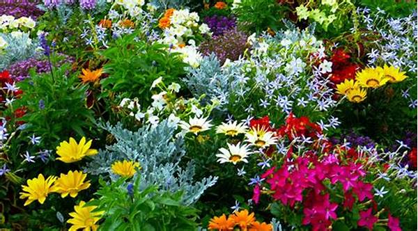 Outdoor Garden Aromatic Varieties