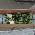 Packaging Techniques For Flower Transport