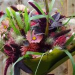 Plastic-free Flower Wrap Solutions