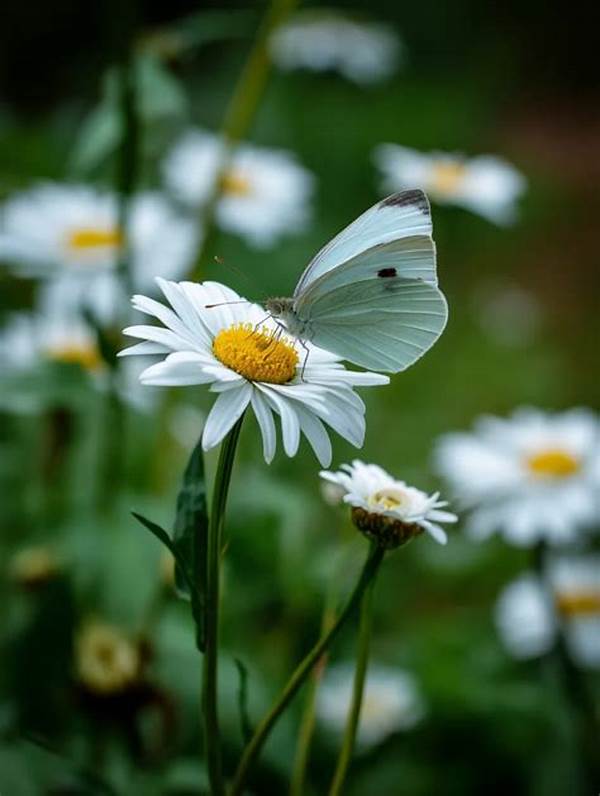 Pollinator-friendly Backyard Habitats