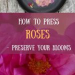 Preserving Blooms With Temperature Adjustments