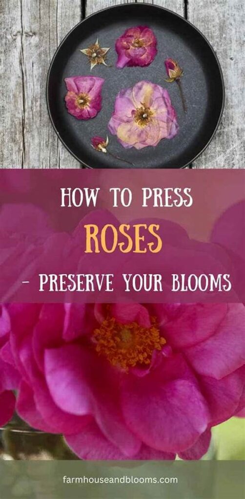 Preserving Blooms With Temperature Adjustments