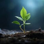 “regional Gardening Recommendations Guide”