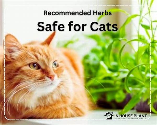 Safe Herbs For Pet Cats