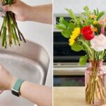 Solutions For Prolonged Flower Freshness