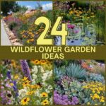 Space-saving Wildflower Garden Ideas