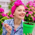 Spring And Summer Flower Garden Maintenance