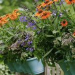 Stress-free Flowers For New Gardeners