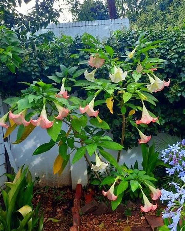 Strong-scented Blooming Flowers