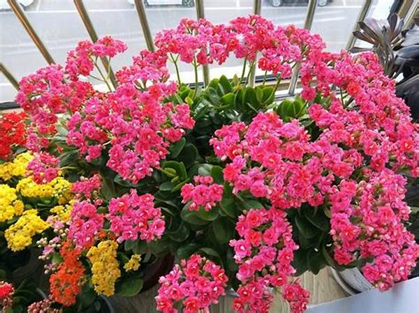 Sustainable Techniques For Flower Longevity