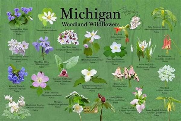 Techniques For Recognizing Native Flowers