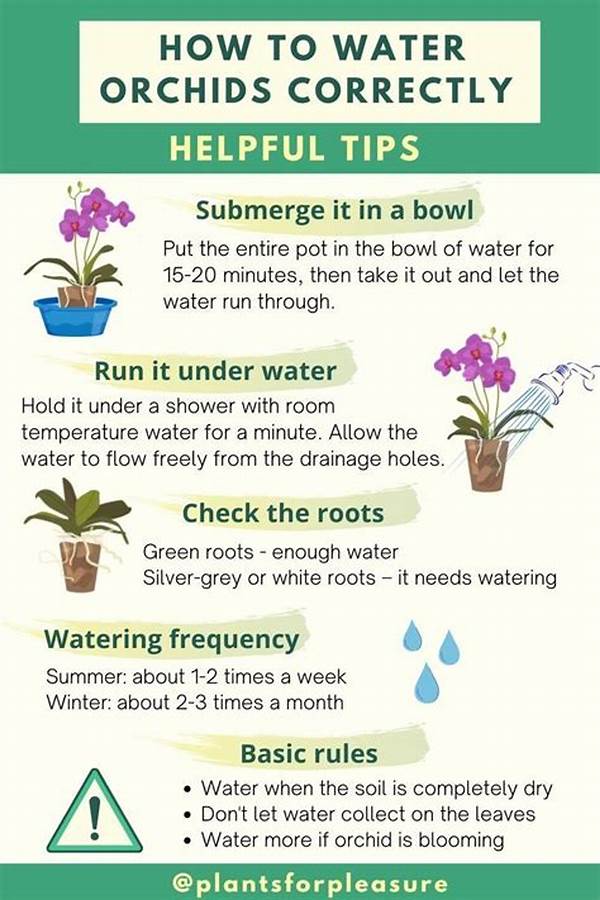 Tips For Watering Floral Displays Correctly