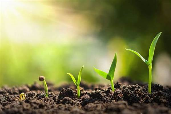 Understanding Plant Growth Stages