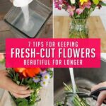 Ways To Make Flowers Last Longer