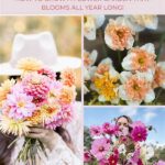 Year-round Flower Garden Care Guide