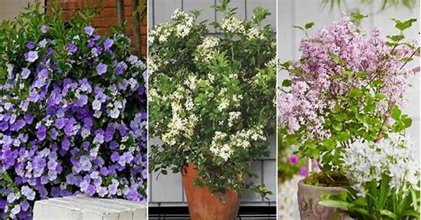 Backyard-friendly Scented Flower Selection