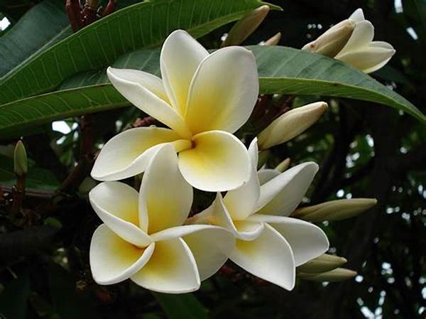 Best Floral Scents For Gardens